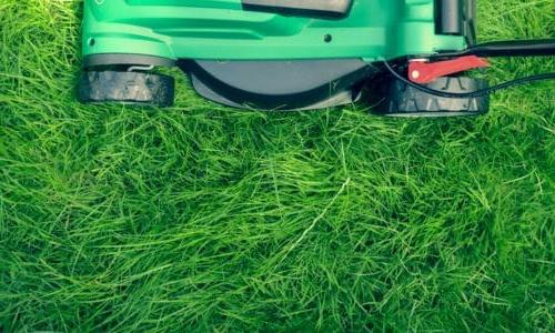 Mower cutting thick grass